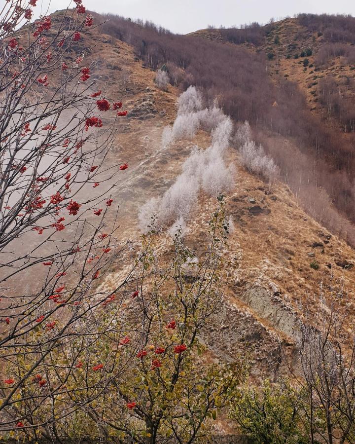 Red Stone Guest House Kazbegi Bagian luar foto